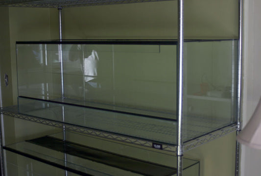 48"L x 24"D x 24"T Glass Venomous Reptile Terrarium