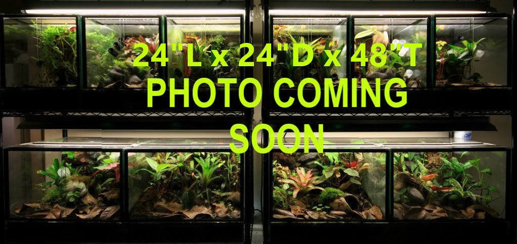 24"L x 24"D x 48"T Glass Reptile Terrarium