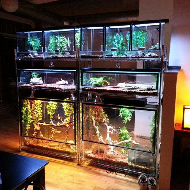 44″L x 17″D x 12″T Glass Reptile Terrarium