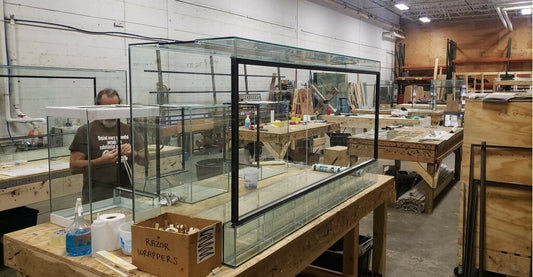 72"L x 24"D x 36"T Glass Venomous Reptile Terrarium