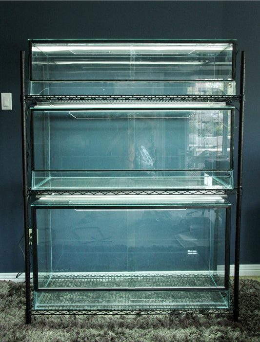 48"L x 24"D x 18"T Glass Venomous Reptile Terrarium