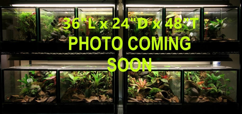 36"L x 24"D x 48"T Glass Reptile Terrarium