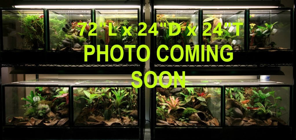 72"L x 24"D x 24"T Glass Reptile Terrarium