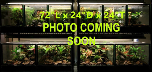 72"L x 24"D x 24"T Glass Reptile Terrarium