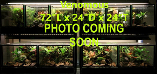 72"L x 24"D x 24"T Glass Venomous Reptile Terrarium