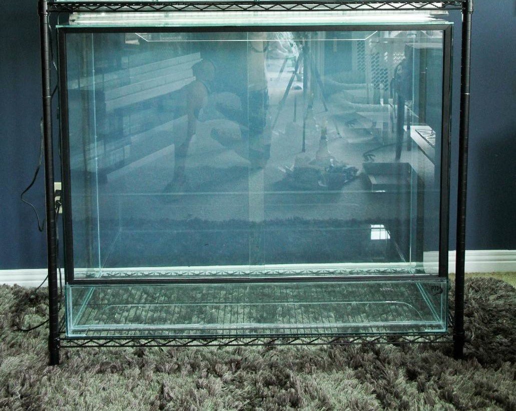 36"L x 24"D x 48"T Glass Venomous Reptile Terrarium