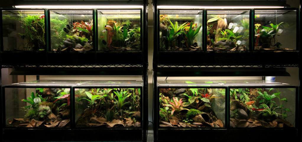 15″L x x 30″T Glass Reptile Terrarium – customglassterrariums