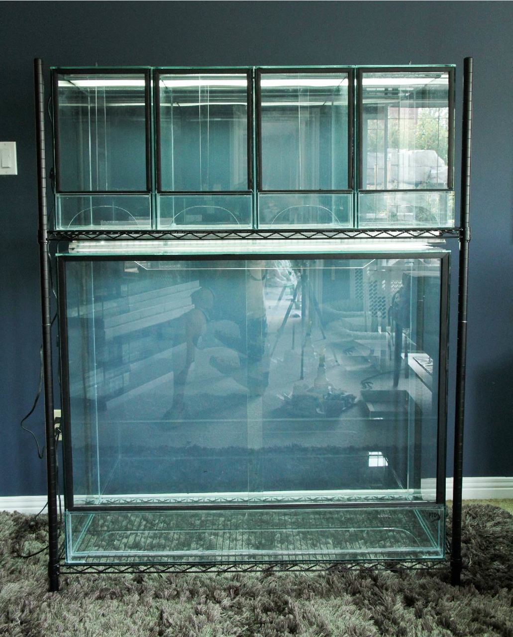 44″L x 17″D x 36″T Glass Reptile Terrarium